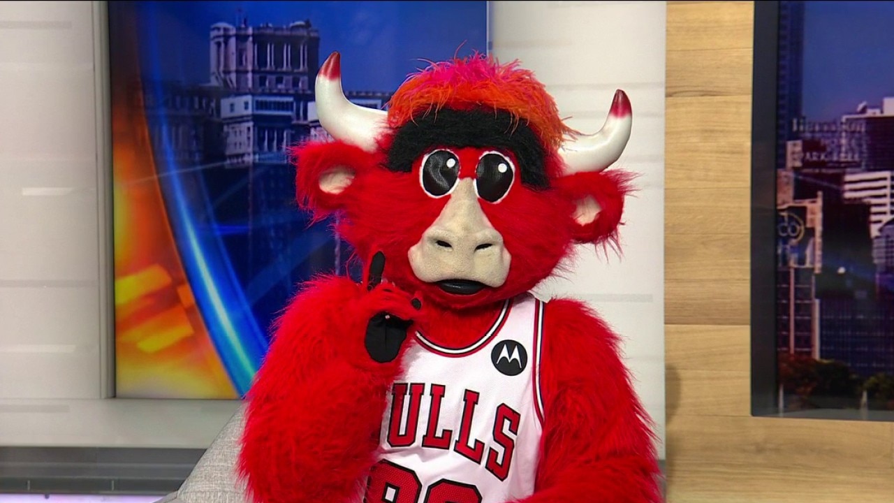 Bulls season returns with theme nights, giveaways and family fun