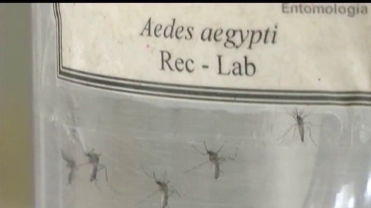 West Nile virus detected near Old National Park