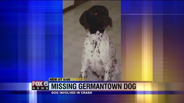 Dog goes missing after crash near Mequon Road & Country Aire Drive in Germantown