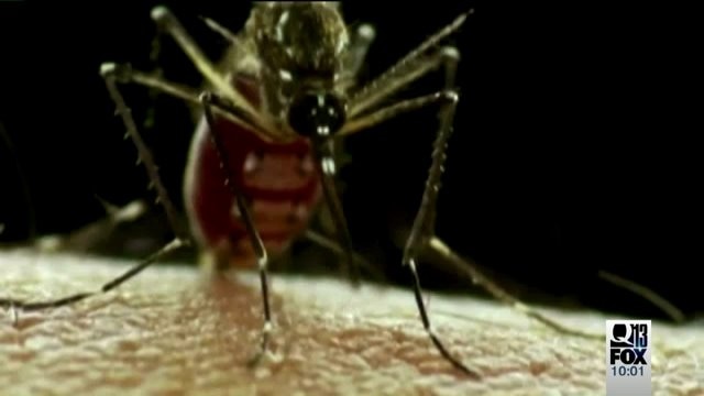 First confirmed case of Zika virus in Washington