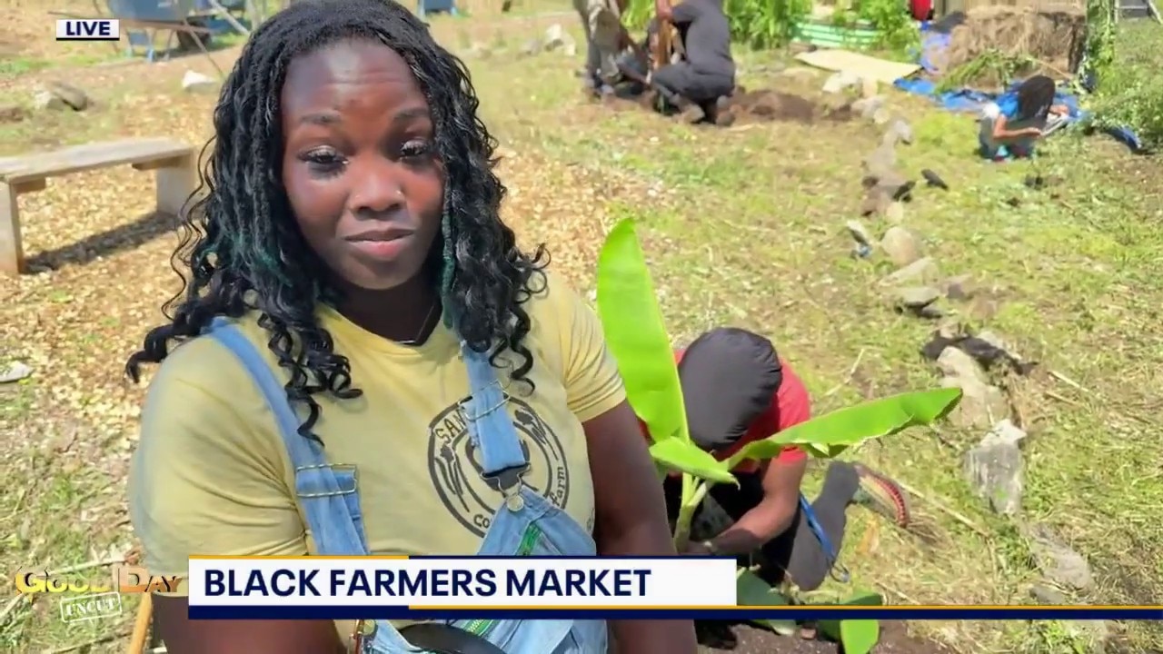 Good Day Uncut: Black Farmers Market