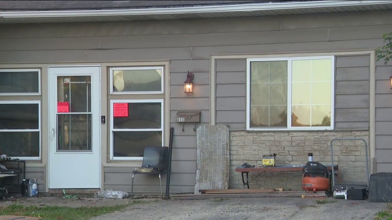 More than 50 dogs reportedly rescued from suspected hoarding situation in Lemont