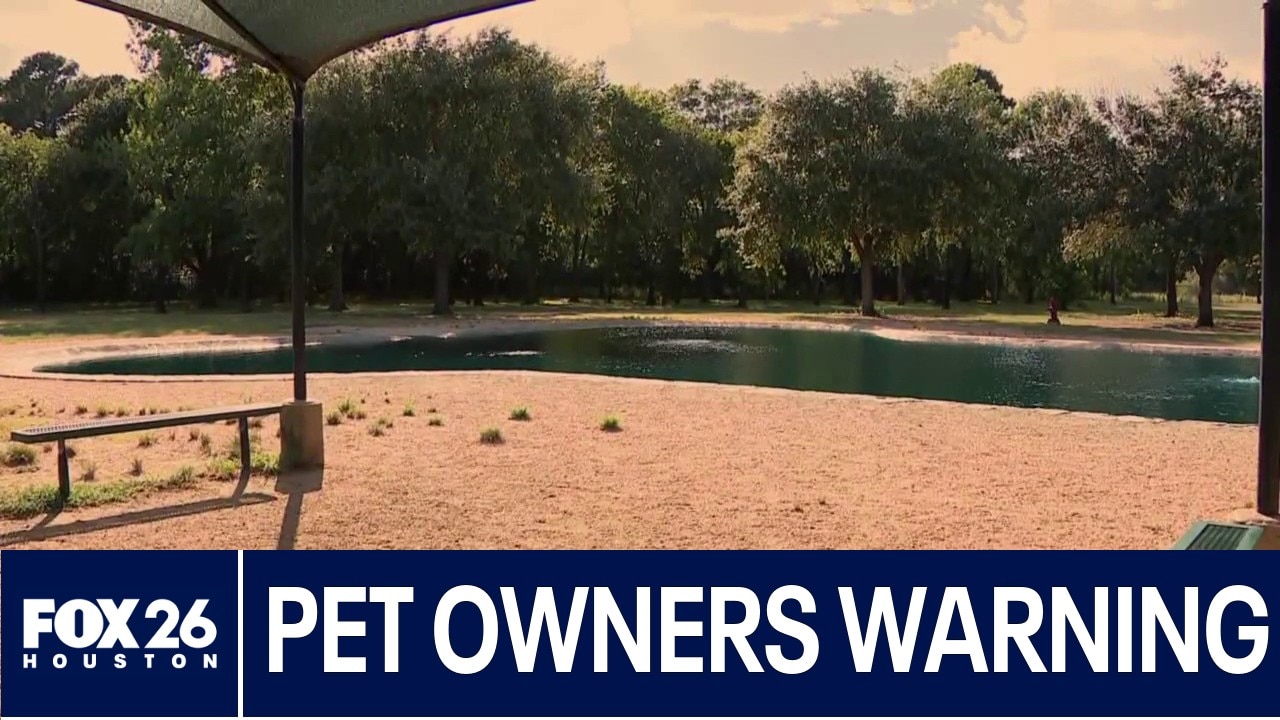 Pet owners warning of fatal parasite