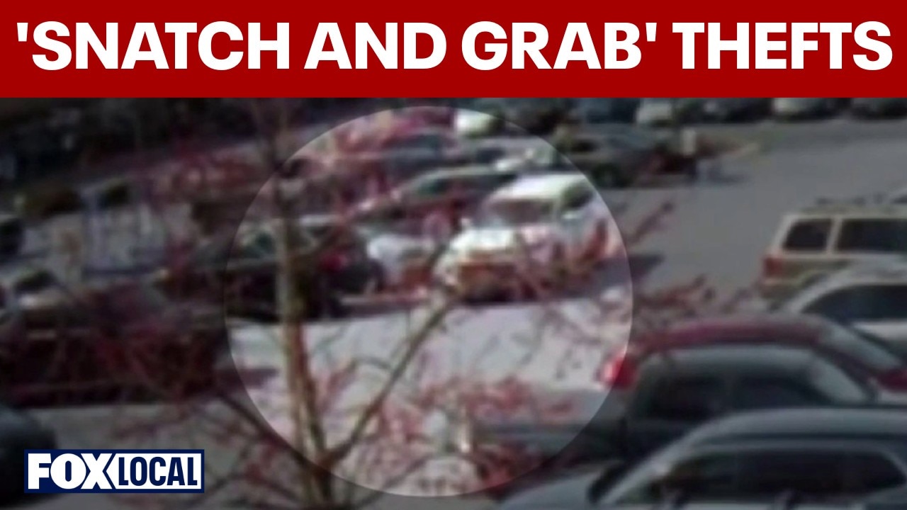 DISTURBING NEW TREND: 'Snatch and grab' jewelry thefts on the rise