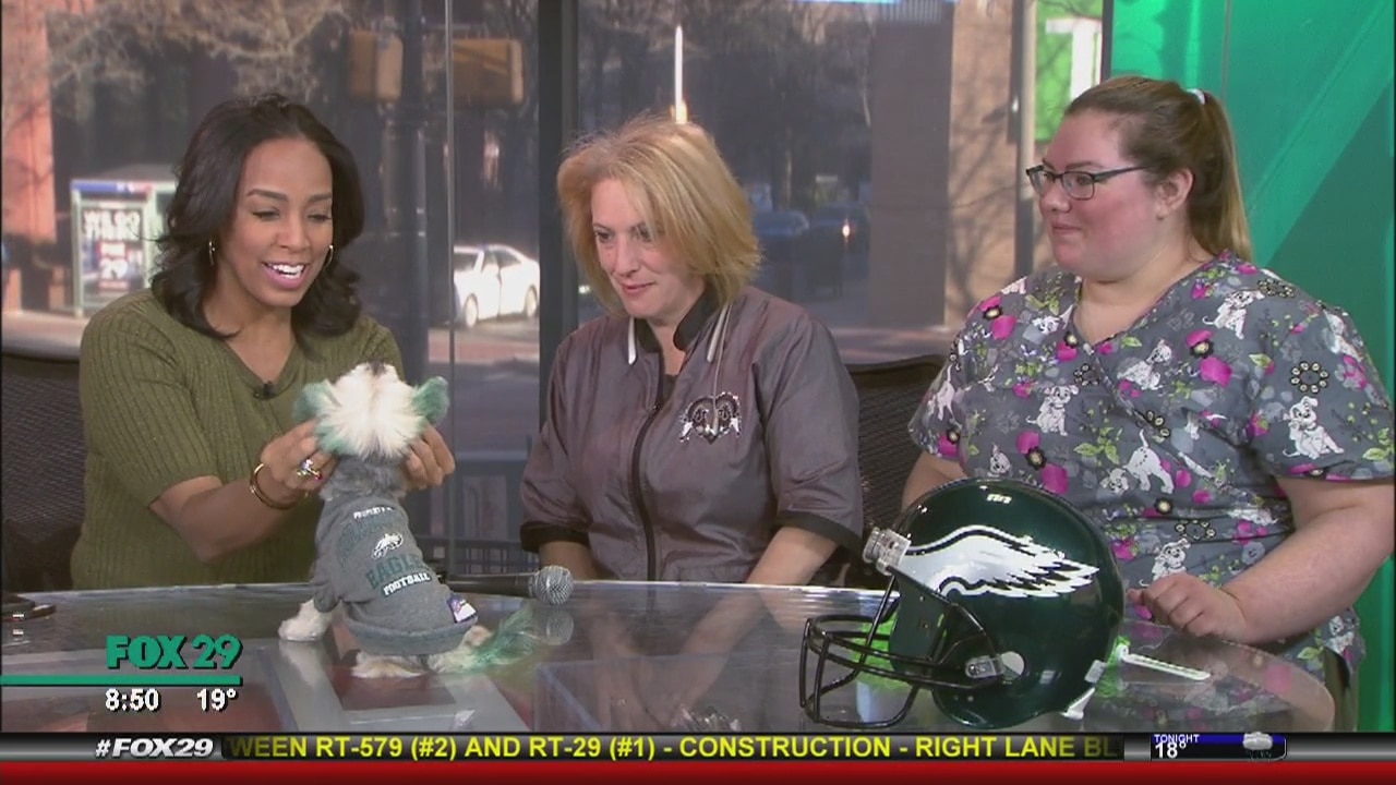 How pups can (safely) go green ahead of the Super Bowl