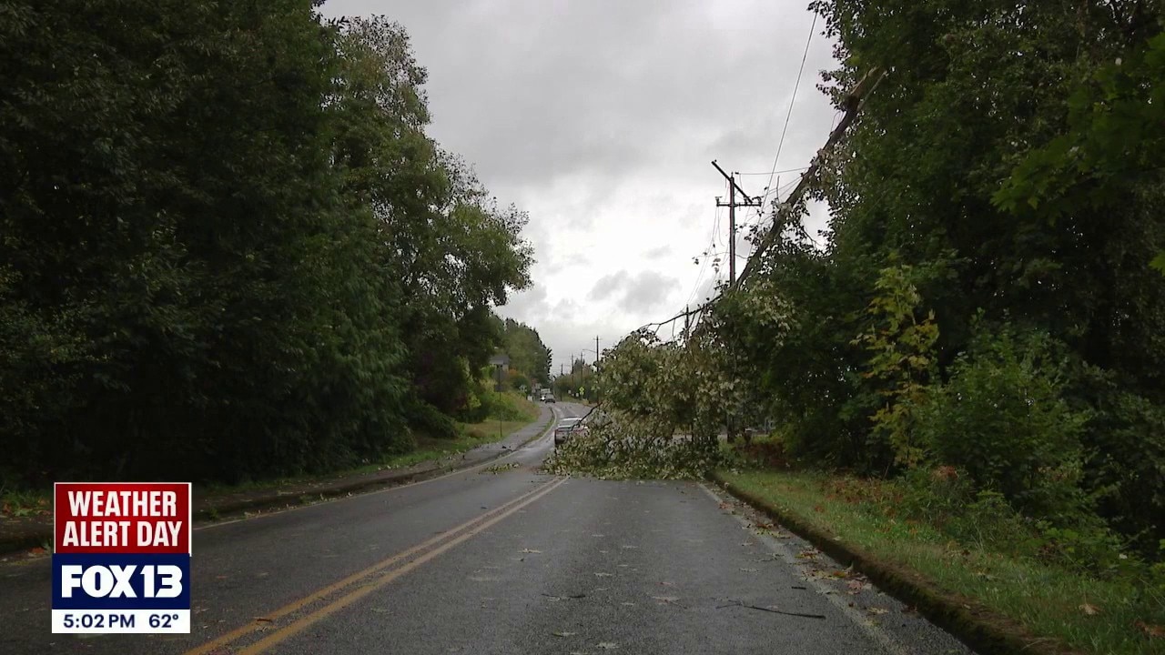 Widespread power outages across Thurston County