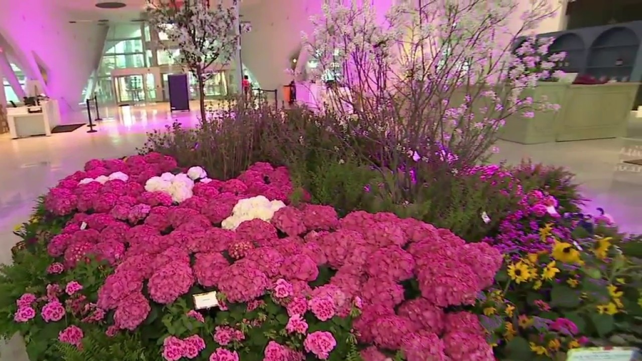 Art in Bloom is back at The Milwaukee Art Museum; plenty of ways to celebrate