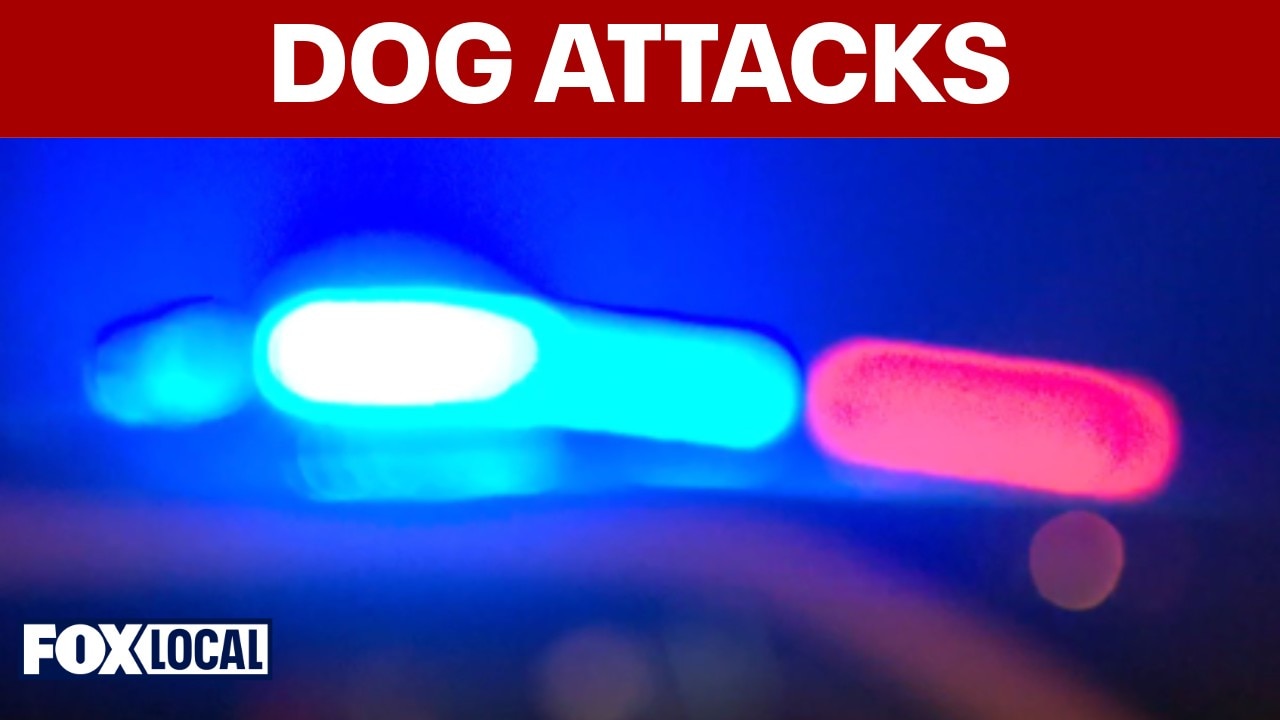 2 women bitten in dog attacks in Prince George’s County; 1 dog at large