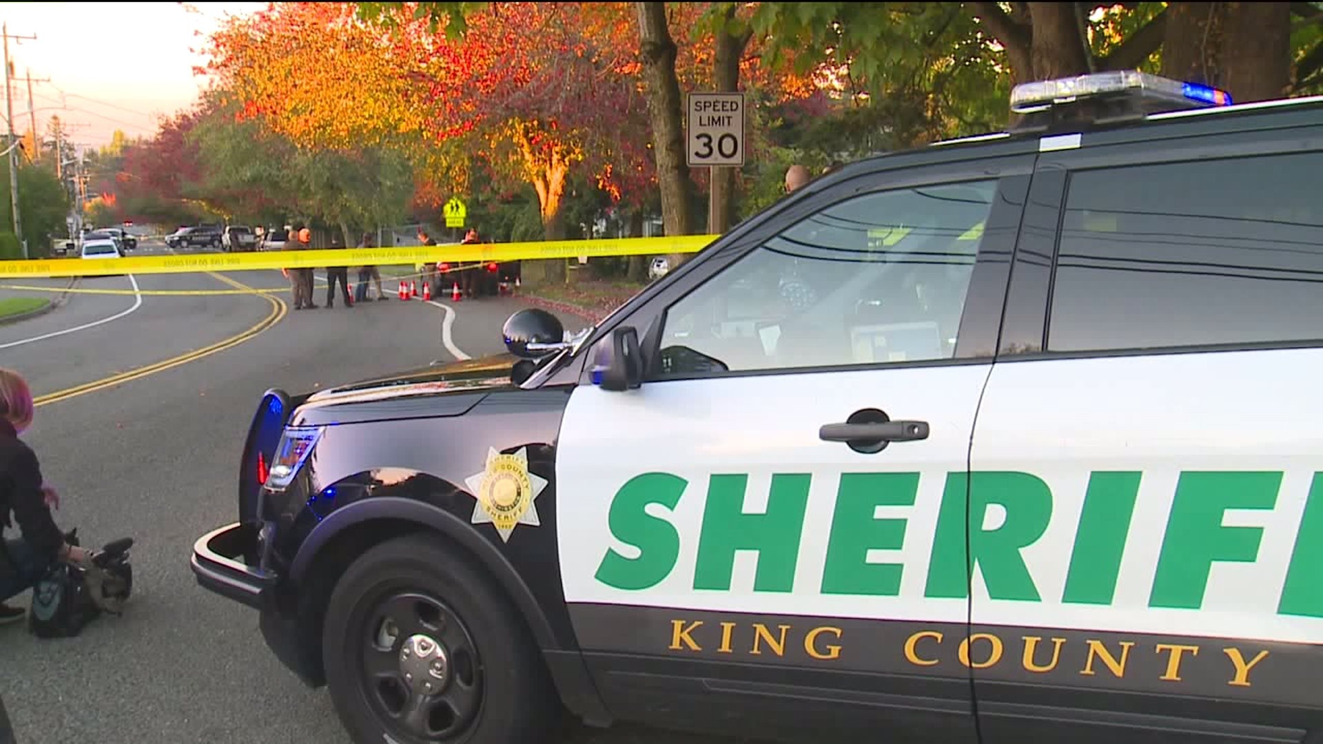 Skyway double fatal shooting