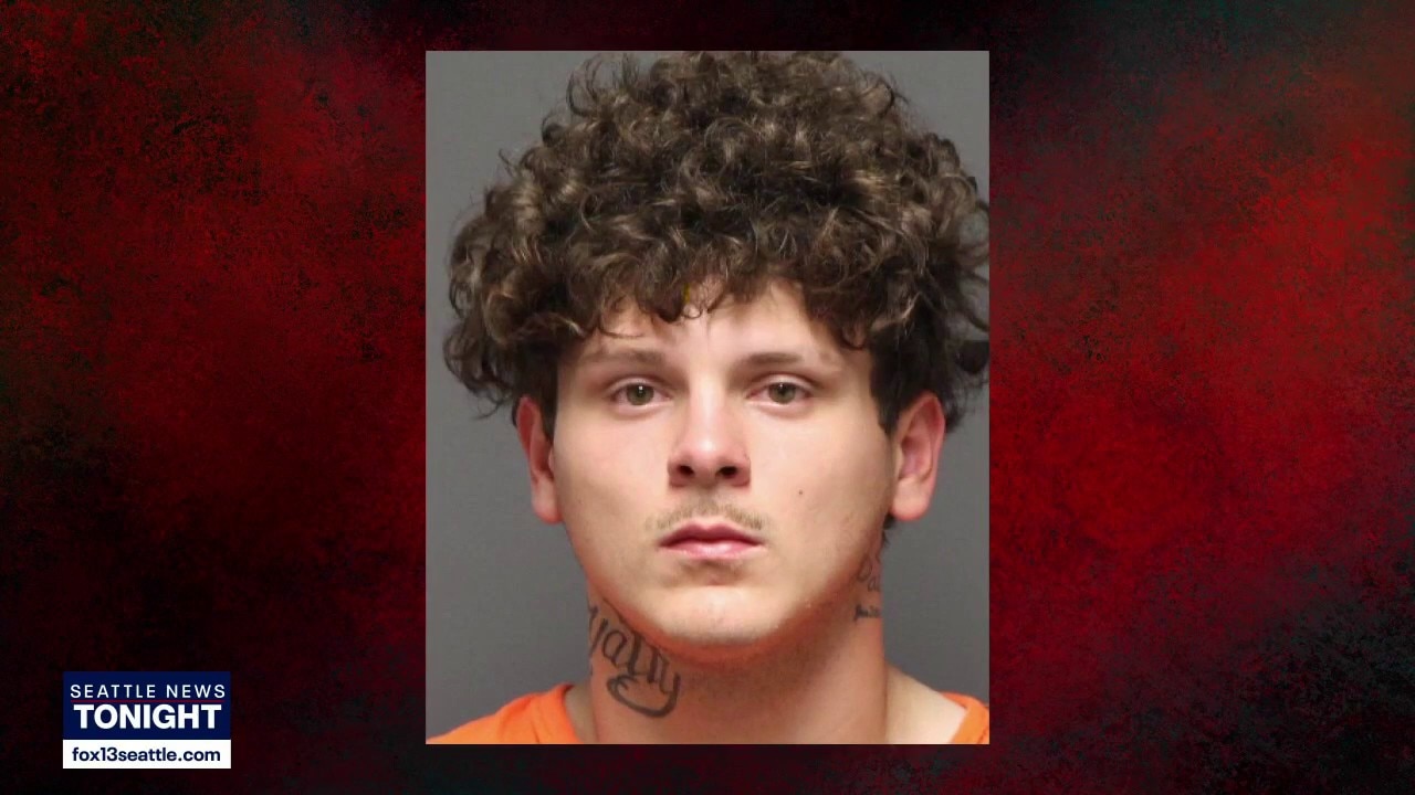 Man pleads not guilty after crime spree arrest