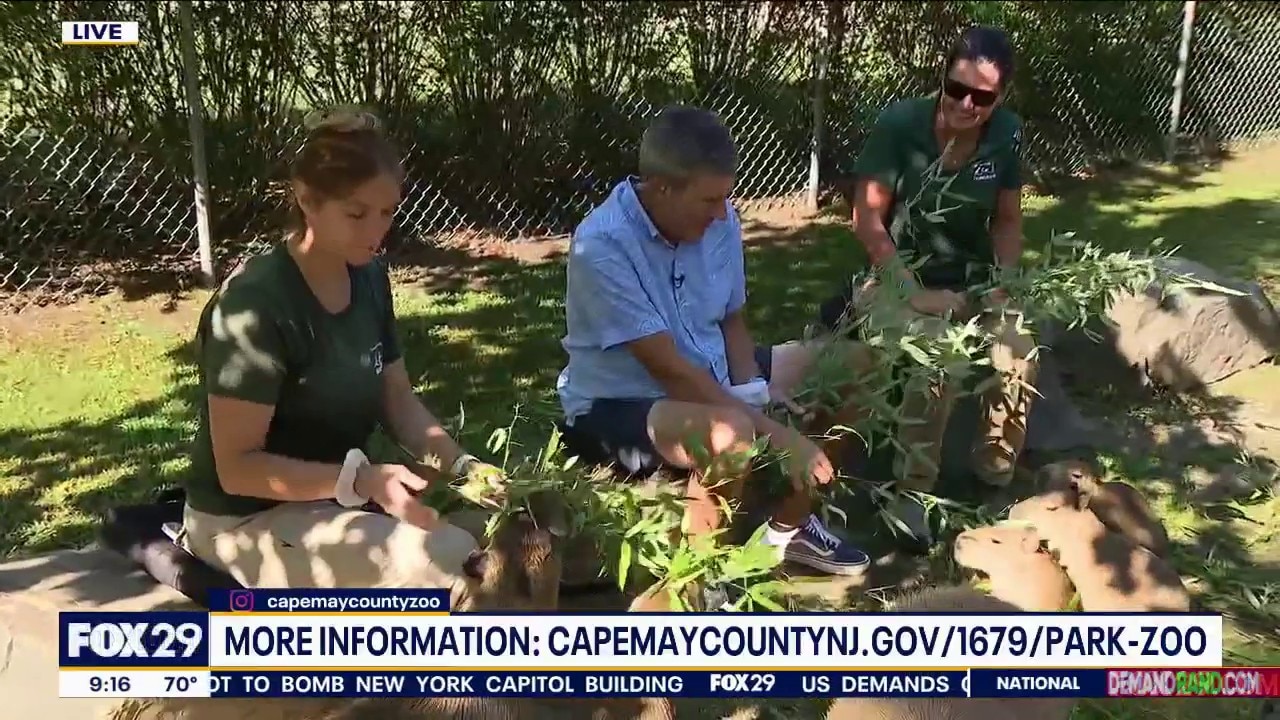 Bob Feeds Animals At Cape May County Park & Zoo
