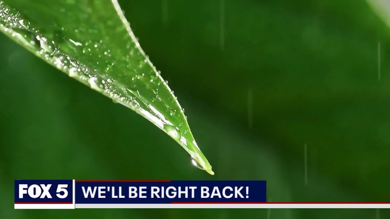 Storm damage in metro Atlanta