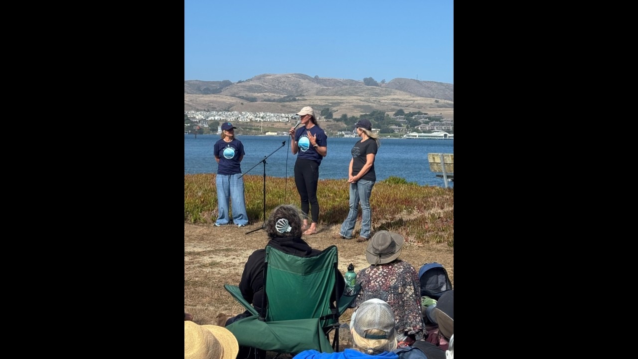 California Swim helps spotlight ocean conservation