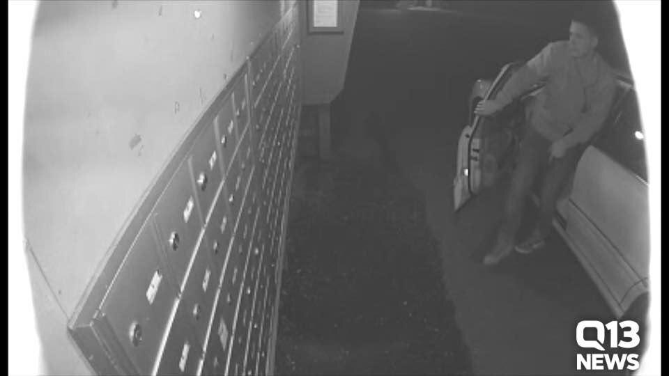 Federal Way mail thieves