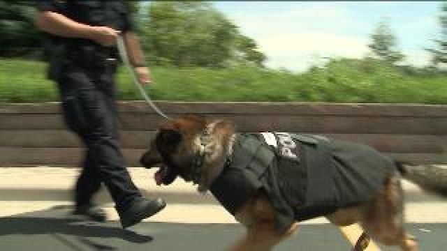 MECA Foundation raises awareness about the need for K-9 Units