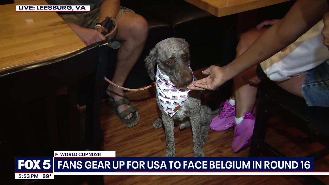 Fans Get Ready For USA To Face Belgium In Round of 16