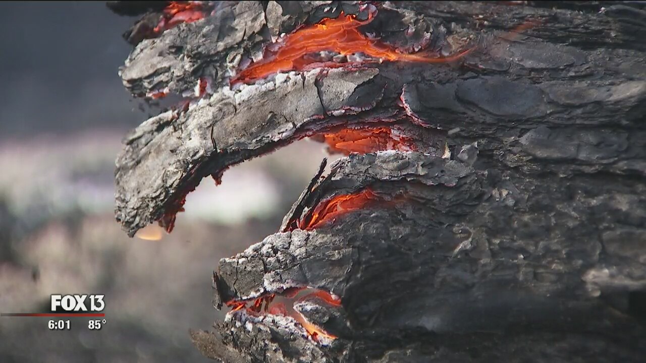 Pasco Fire