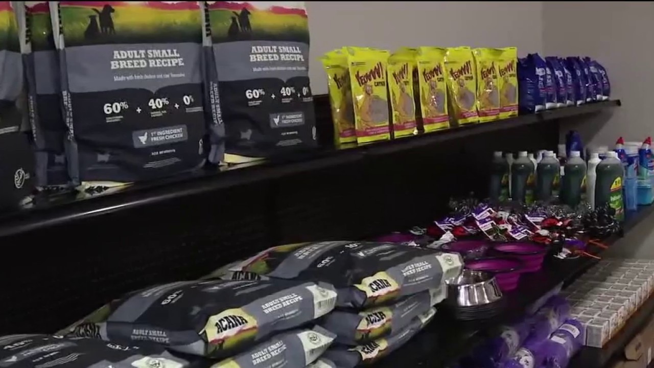 Pet resources at Feeding Tampa Bay