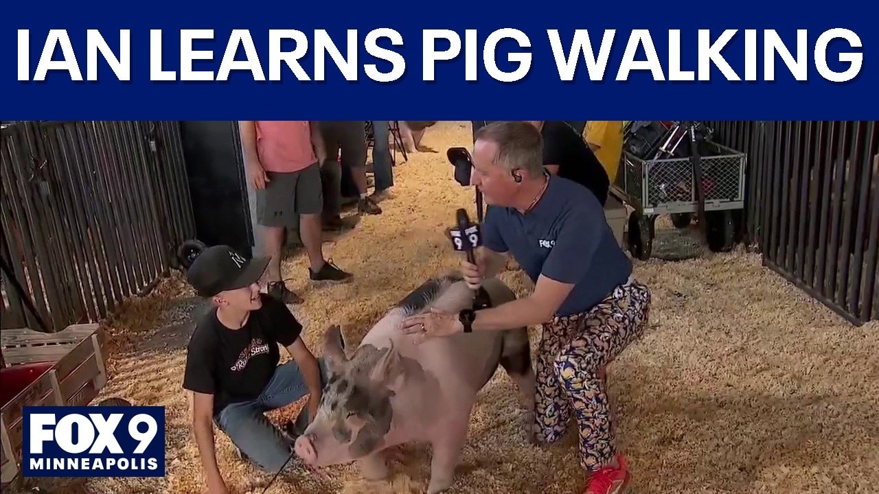 Ian Leonard learns to walk a pig at State Fair