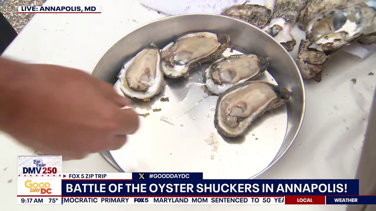 Zip Trip to Annapolis: Battle of the Oyster Shuckers