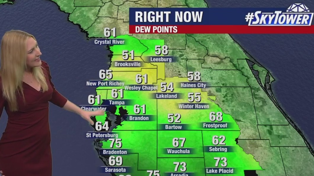 Tampa weather: Drier air on Saturday night