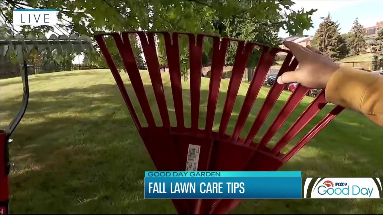 Fall lawn care tips