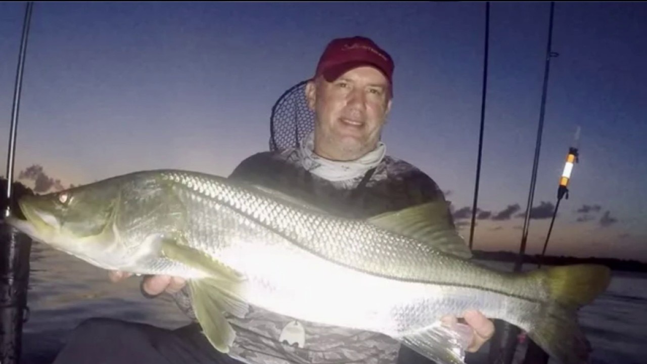 Heavy rain cools and flushes Tampa Bay waters