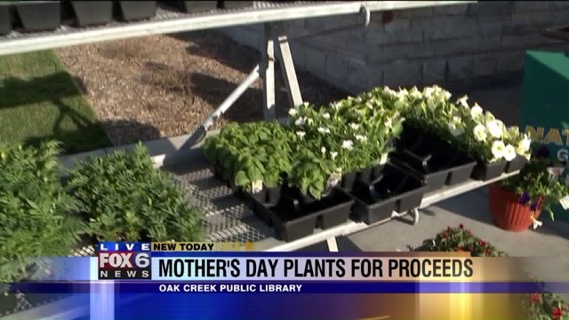 Flowers for mom: "Friends of the Oak Creek Public Library" hosts second annual plant sale