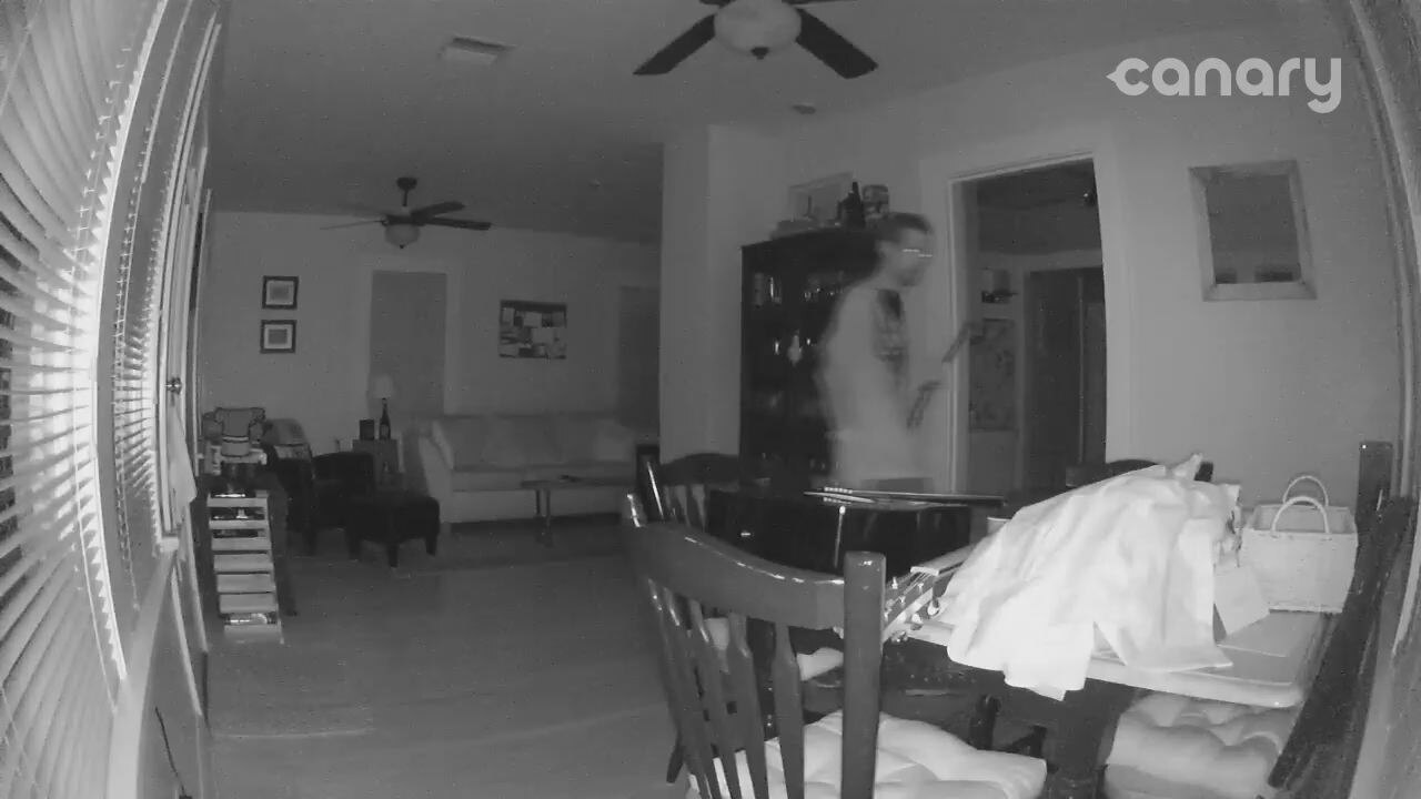 Looter burglarizes evacuated home