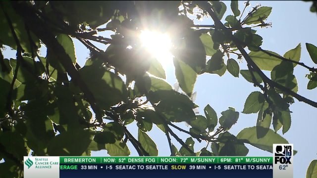 Beating the sun: Avoiding skin cancer