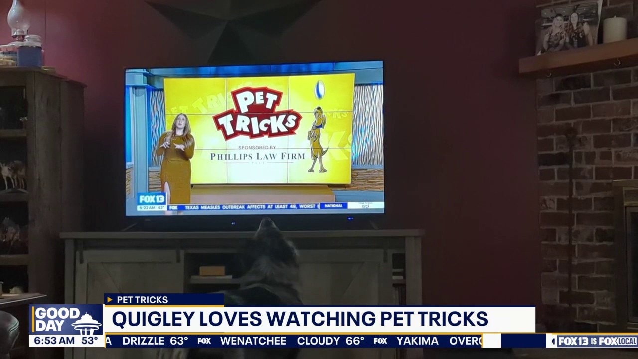 Good Day Pet Tricks for Wednesday, May 13