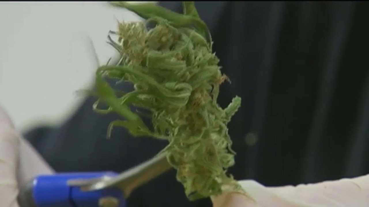 Lawsuit compares cannabis industry to Big Tobacco, targets 3 Chicago-based marijuana companies