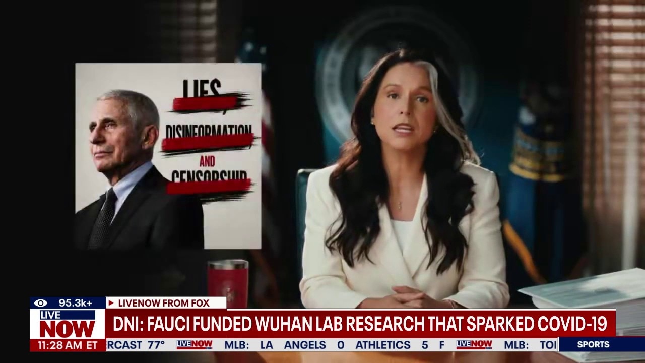 DNI Gabbard alleges Dr. Fauci funded Wuhan lab research