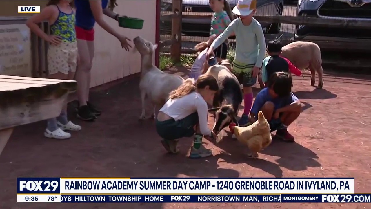 Bob Finds A Bucks County Camp With A Petting Zoo