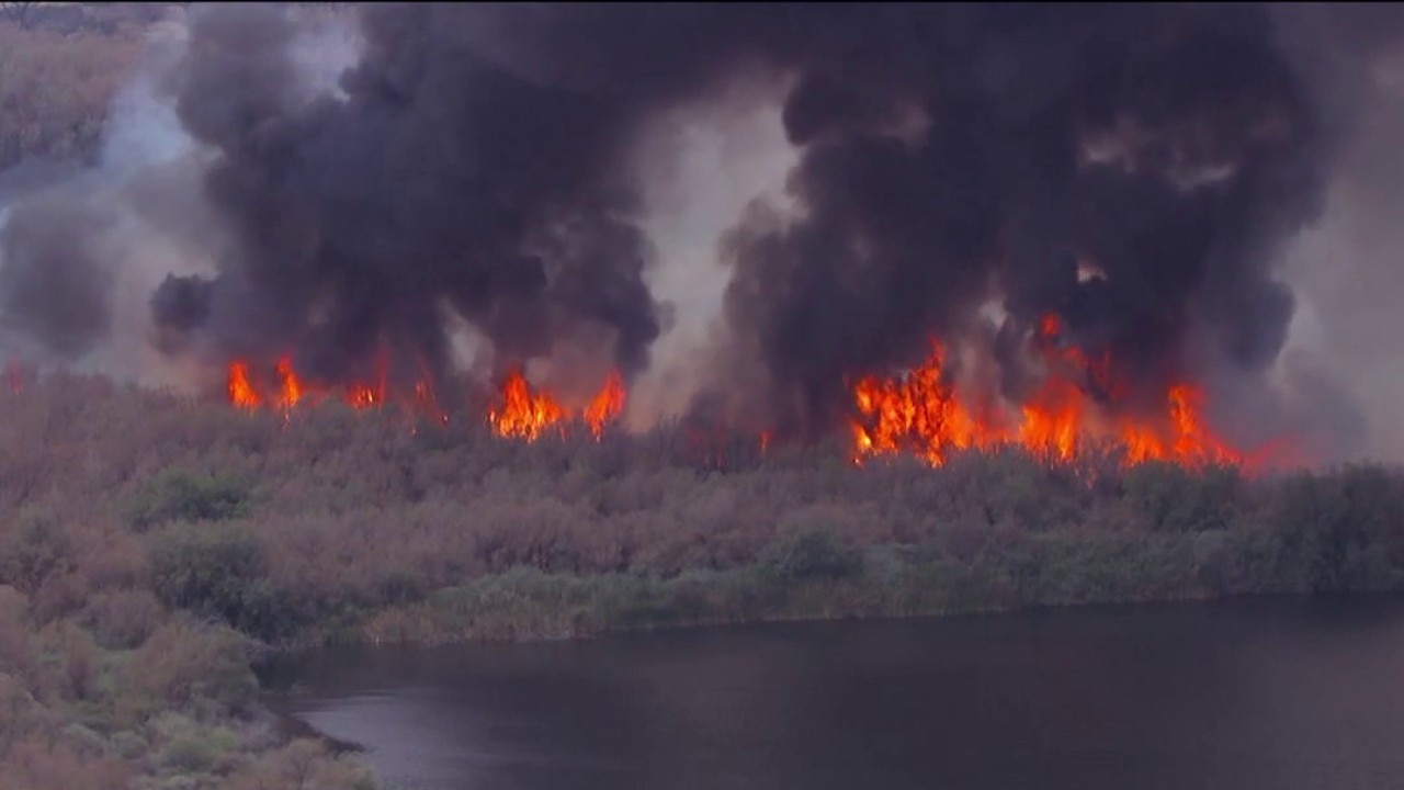 Wildlife impact of Hazen Fire