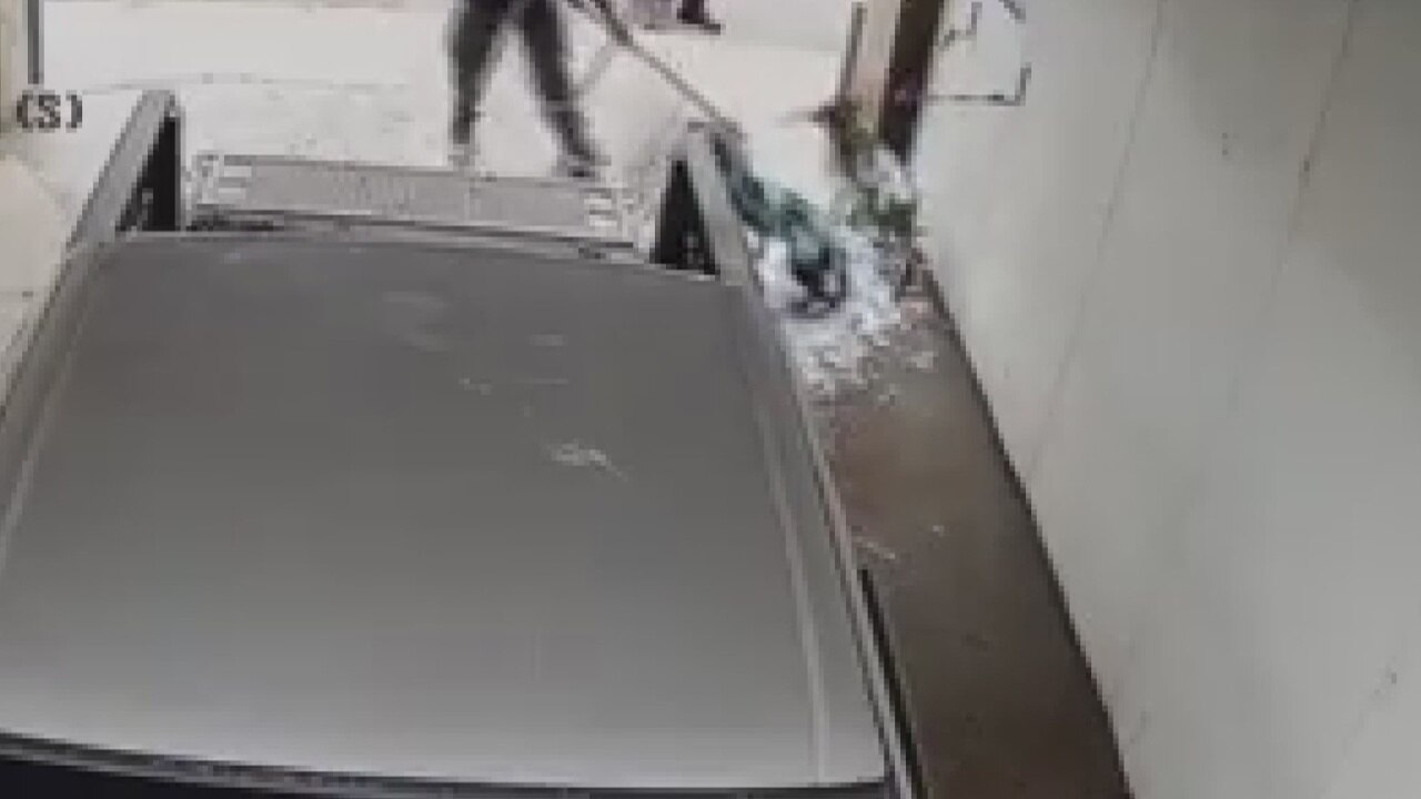 Man caught on camera using car wash tools on dogs causes outrage