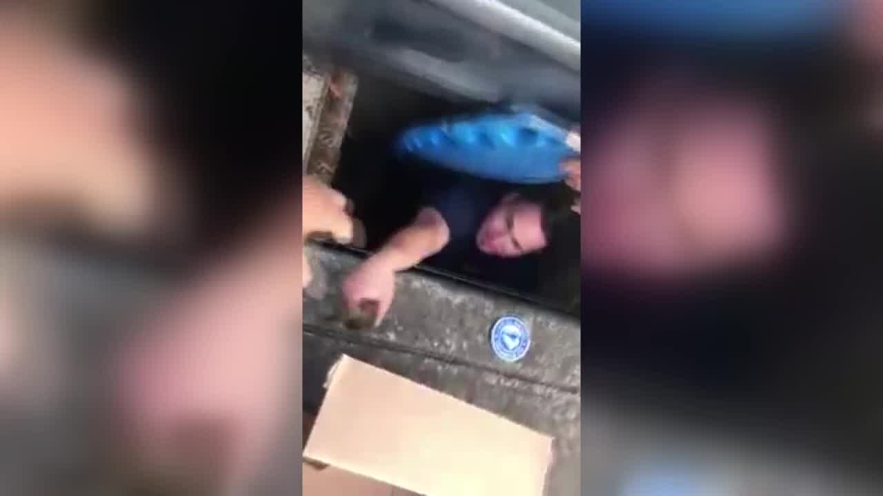 Alameda Co. firefighters rescue 10 ducklings trapped in storm drain