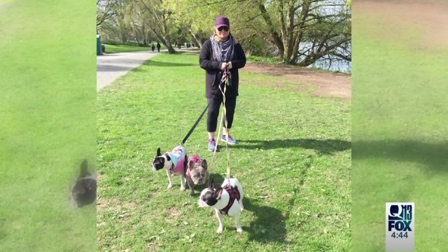 National Walking Day