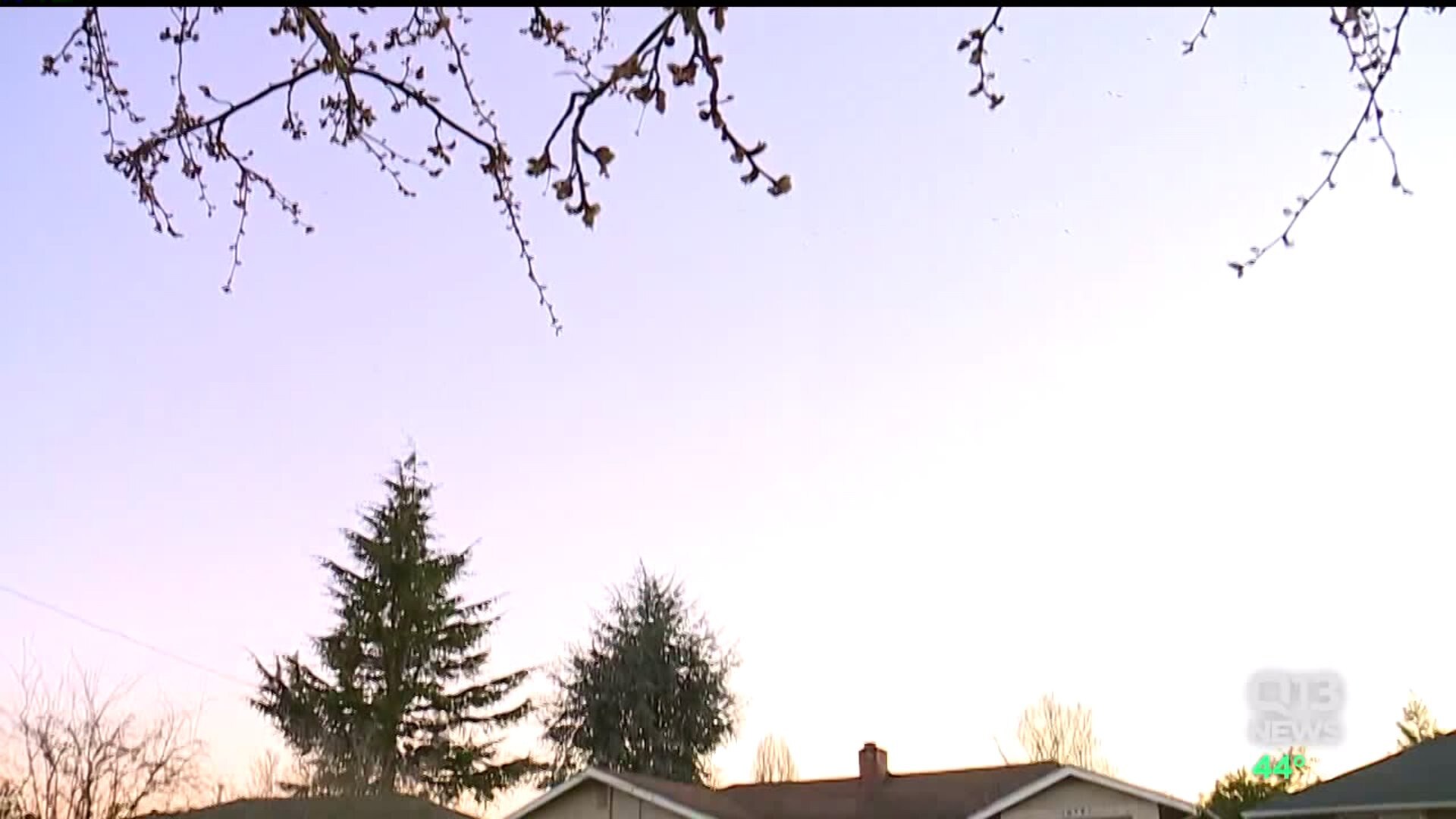 Elderly Seattle woman shot during home invasion robbery