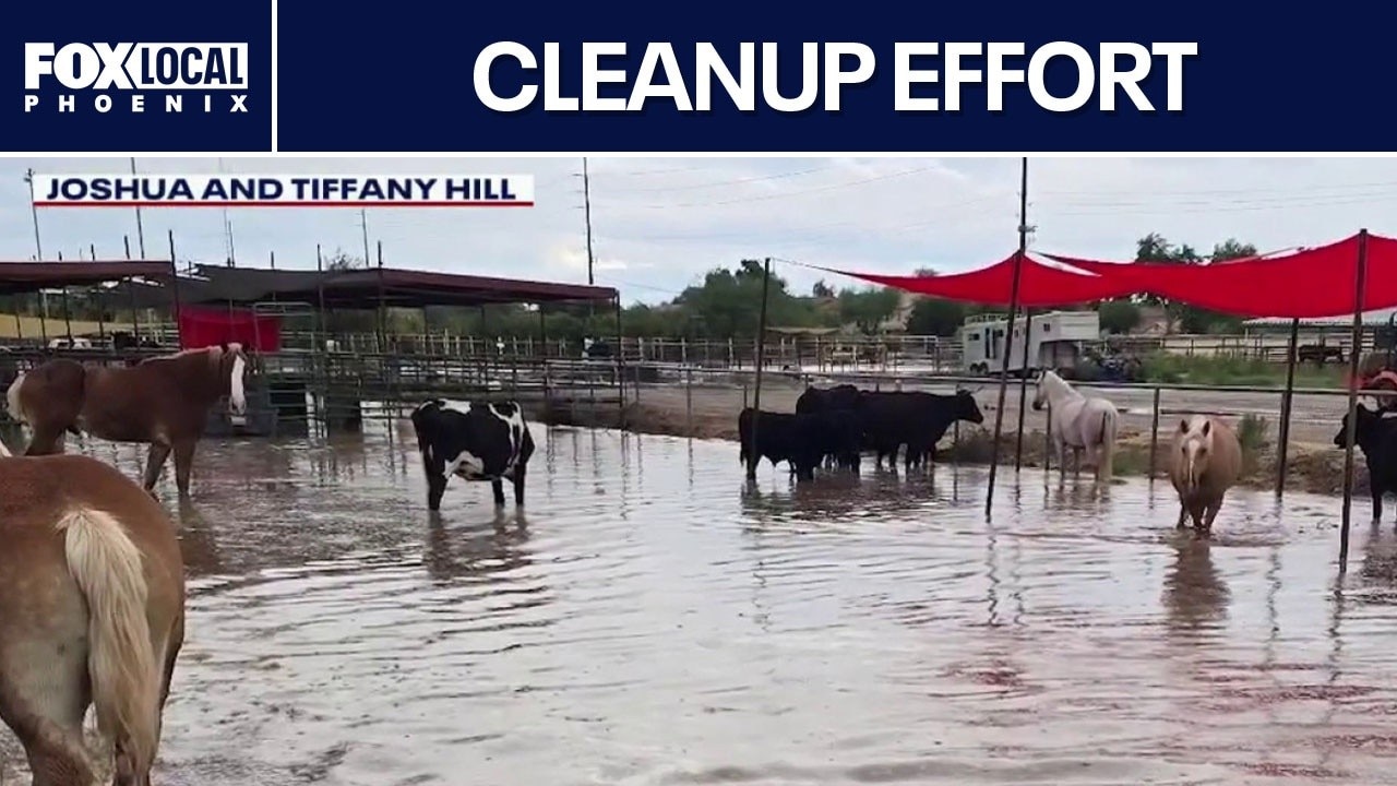 San Tan Valley farm, Hayden Acres, flooded