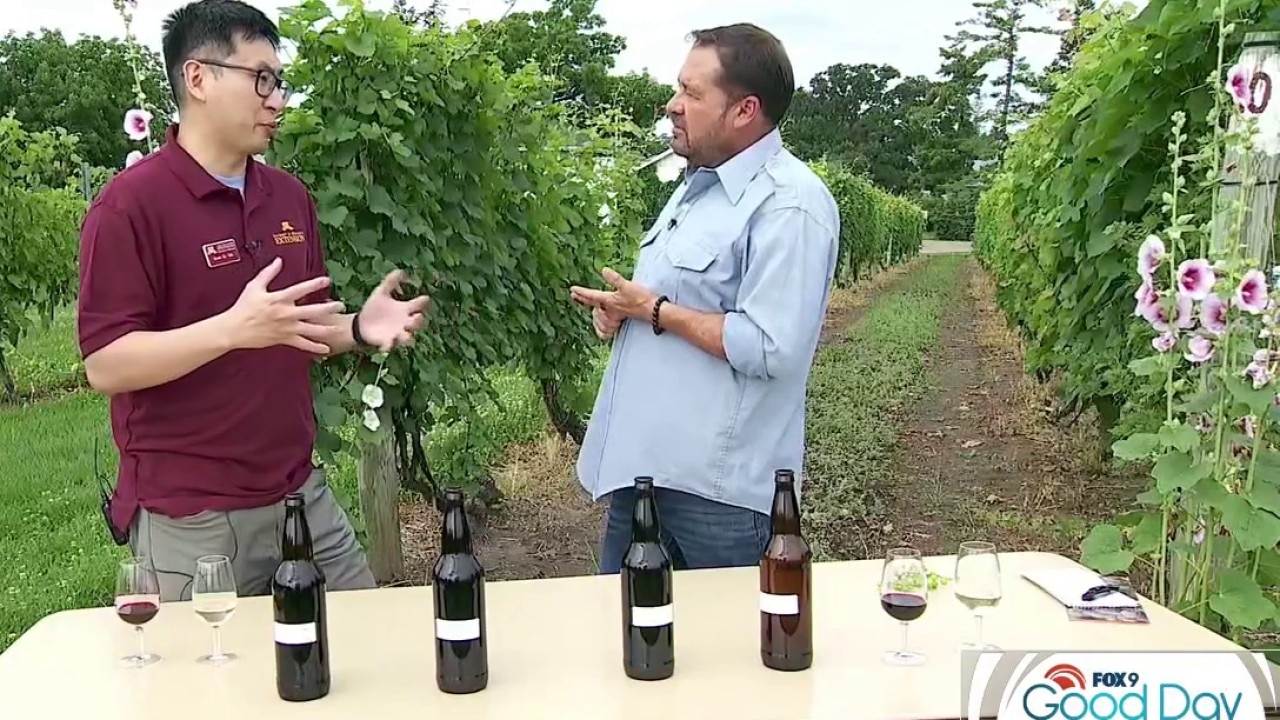 Minnesota Wines