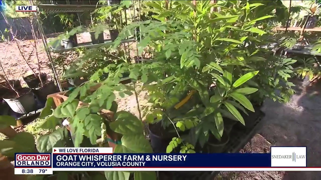 Visiting the Goat Whisperer Farm & Nursery