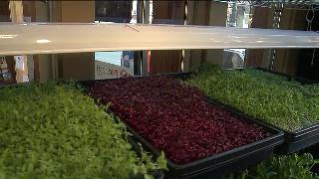 Chip hangs at INdustri Cafe to talk about FOX6 Days of Dining