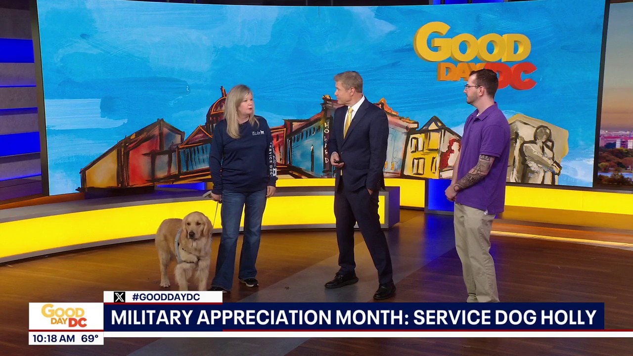 Military Appreciation Month: Service Dog Holly