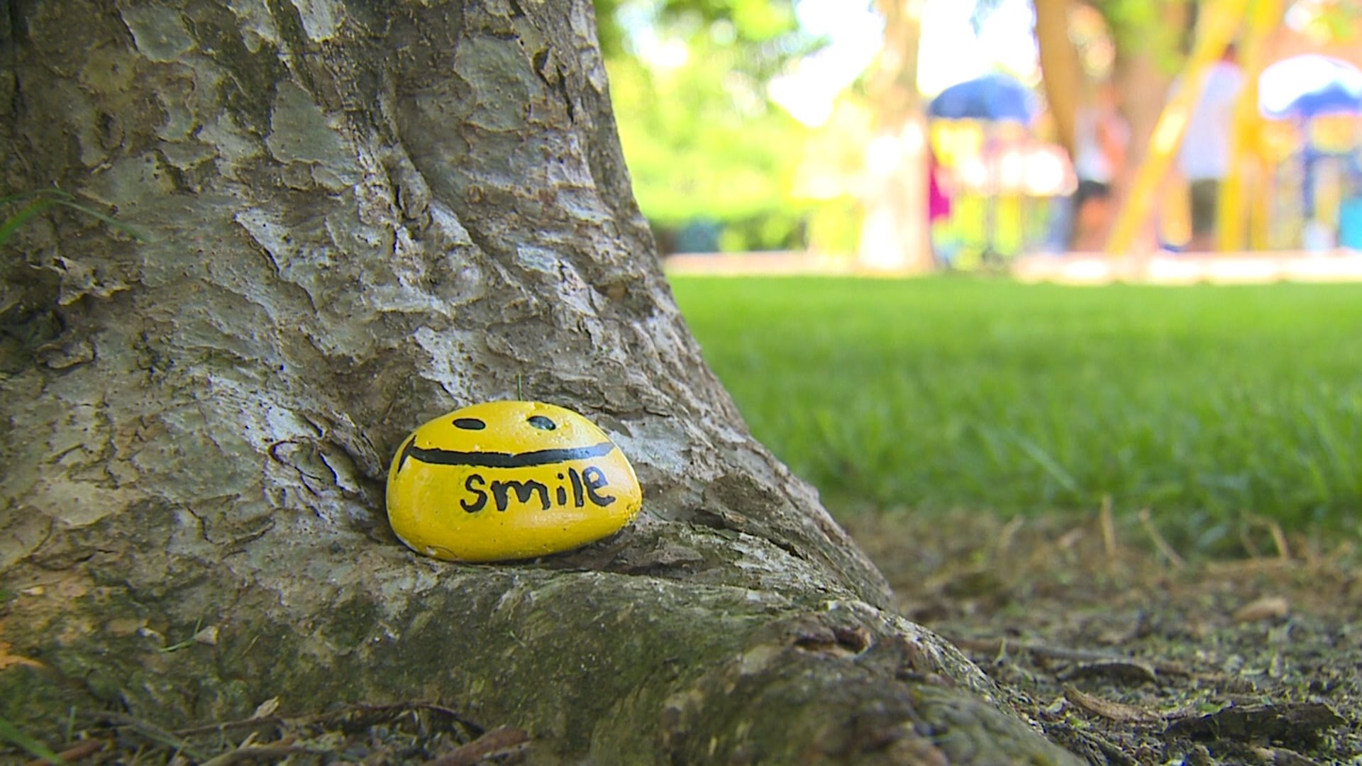 What started as a game is now bringing the Sumner community together