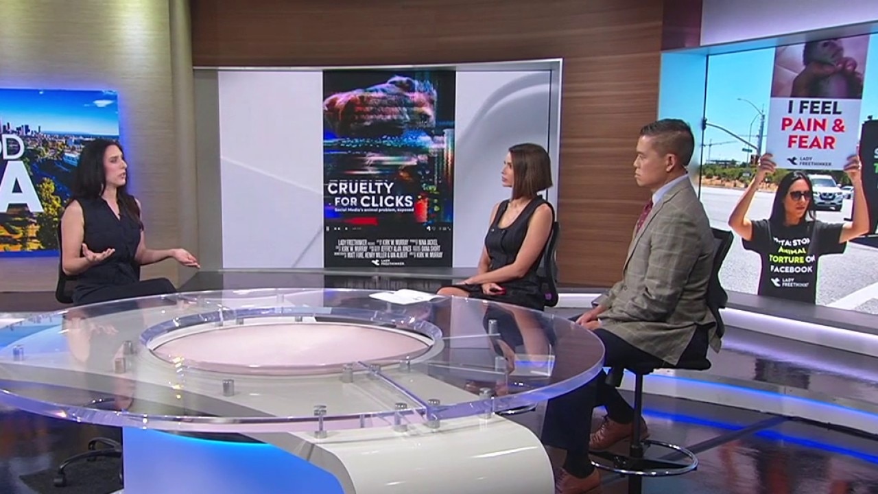 'Cruelty for Clicks' explores online videos showing animal cruelty 