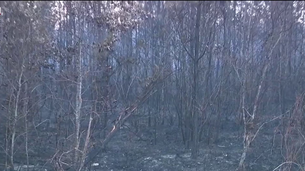Saturday morning look at south Georgia wildfires
