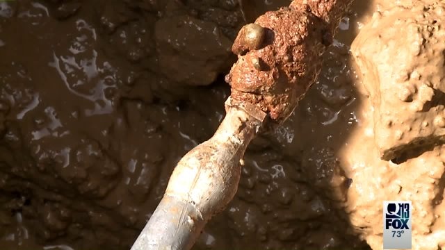 Looking for source of high lead levels