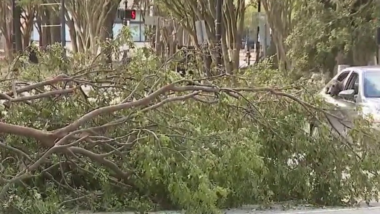 Trees, poles, powerlines down in downtown Pensacola