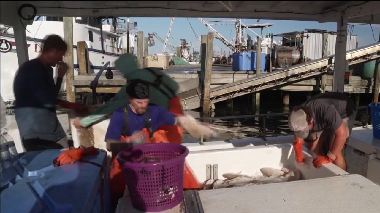 Cortez Fishing Village